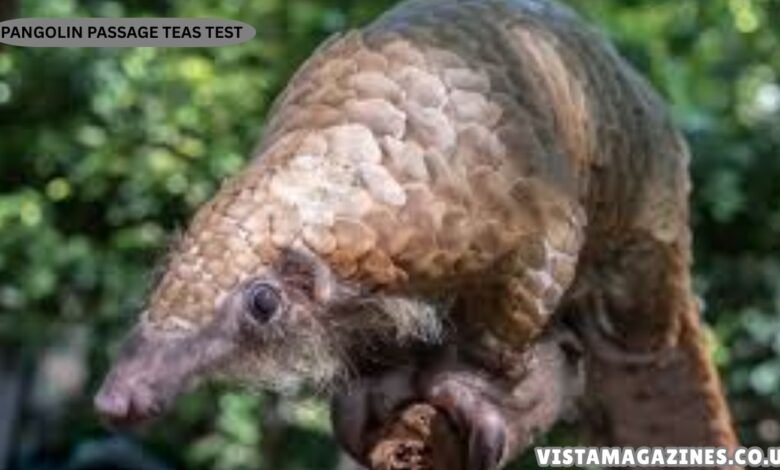 Pangolin Passage TEAS Test